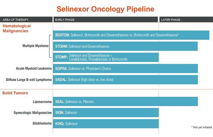 Selinexor-pipeline - Karyopharm Therapeutics